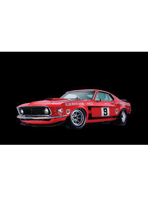 The Boss: The Inside Story of Allan Moffat and his Trans-Am Mustang